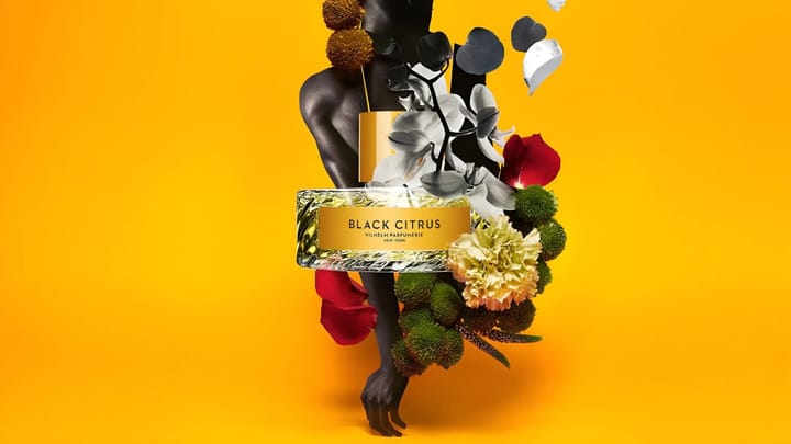 Vilhelm Parfumerie Black Citrus EDP Feature image