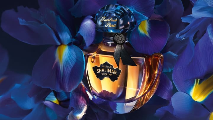 Guerlain Shalimar Millesime Iris EDP Feature image