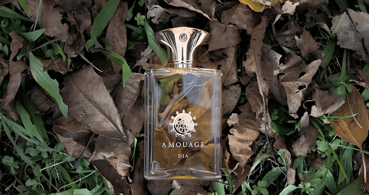 Amouage Dia Man EDP Feature image