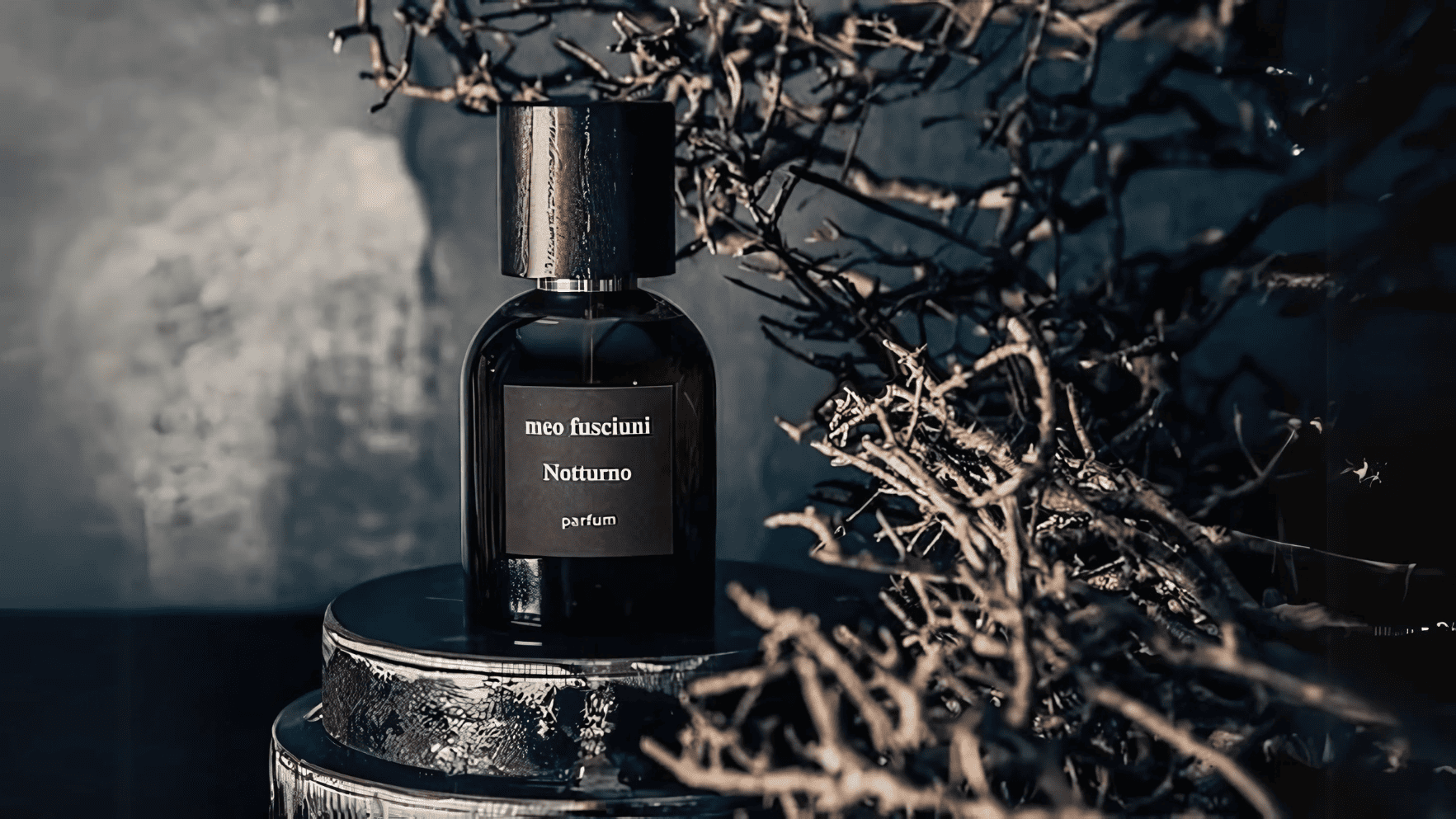 Meo Fusciuni Notturno Parfum Feature image