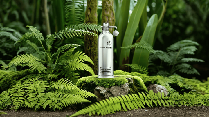 Montale Patchouli Leaves EDP Feature image