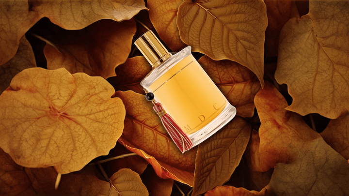 MDCI Cuir Garamante EDP Feature image