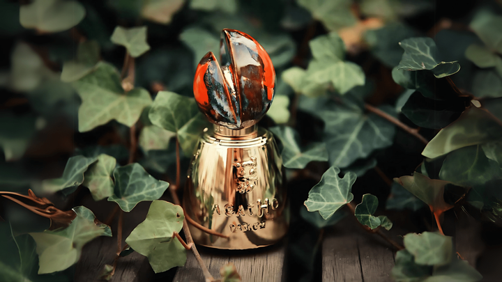 Agatho Castiamanti Parfum Feature image