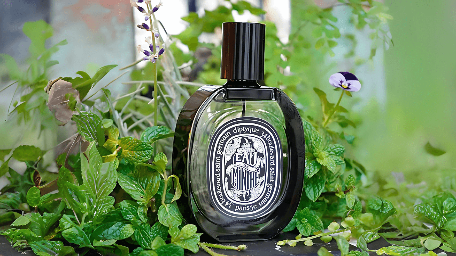 Diptyque Eau de Minthe EDP Feature image
