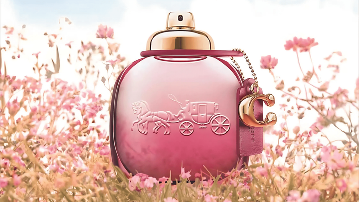 Coach Wild Rose EDP Feature image