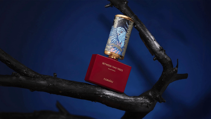 Floriaku Between Two Trees EDP Feature image