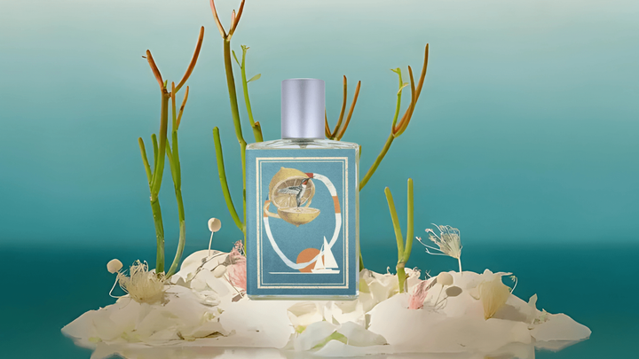 Imaginary Authors Falling Into The Sea EDP Feature image